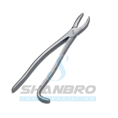 Equine Tooth Forceps