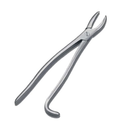 Equine Tooth Forceps