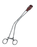Youngs Tongue Forceps